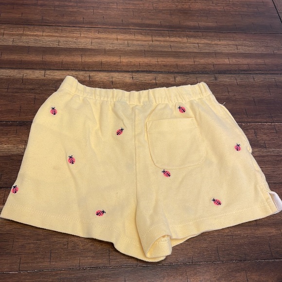 Polo Ralph Lauren Size 5t Lady bug shorts - Picture 2 of 8